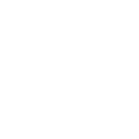 Furality Translation Team Lead